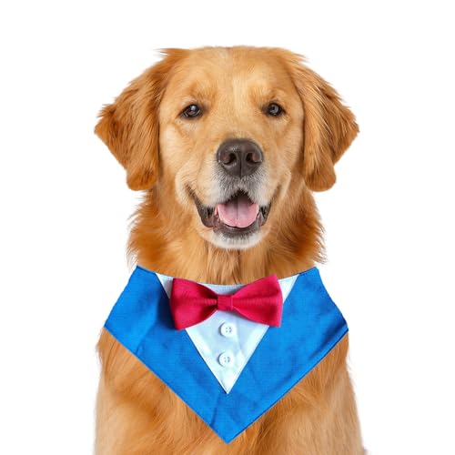 Formelles Hundehalstuch, Haustierhalstuch, Hochzeit, Party, Smoking, Fliege, Dreieckstuch, verstellbares Hundehalsband, Lätzchen, Valentinstag, Fliege, Größe L, Königsblau Formelles Hundehalstuch, Haustierhalstuch, Hochzeit, Party, Smoking, Fliege, Dreieckstuch, verstellbares Hundehalsband, Lätzchen, Valentinstag, Fliege, Größe L, Königsblau von MeiAOBest
