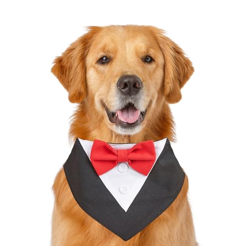 Formelles Hundehalstuch, Haustierhalstuch, Hochzeit, Party, Smoking, Fliege, Dreieckstuch, verstellbares Hundehalsband, Lätzchen, Valentinstag, Fliege, Schal, Größe S, Rot und Schwarz Formelles Hundehalstuch, Haustierhalstuch, Hochzeit, Party, Smoking, Fliege, Dreieckstuch, verstellbares Hundehalsband, Lätzchen, Valentinstag, Fliege, Schal, Größe S, Rot und Schwarz von MeiAOBest