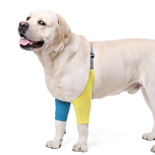 Gelenkschutz für Vorderbeine, Ellenbogenschoner mit Polster für mittelgroße und große Hunde, verhindert Lecken von Wunden, Größe XL (Gelbblau) von MeiAOBest