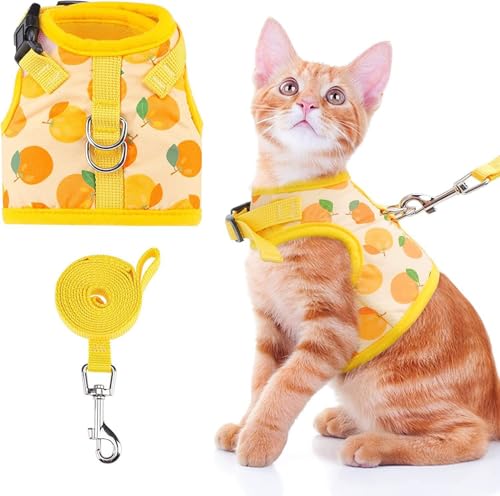 Haustiergeschirr mit Leine, Obstdruck, für Katzen und Hunde, verhindert das Entkommen, verstellbar, für Katzen, Welpen, Spaziergänge, Training, Sicherheitsvorrichtung, Größe XL, Orange Haustiergeschirr mit Leine, Obstdruck, für Katzen und Hunde, verhindert das Entkommen, verstellbar, für Katzen, Welpen, Spaziergänge, Training, Sicherheitsvorrichtung, Größe XL, Orange von MeiAOBest