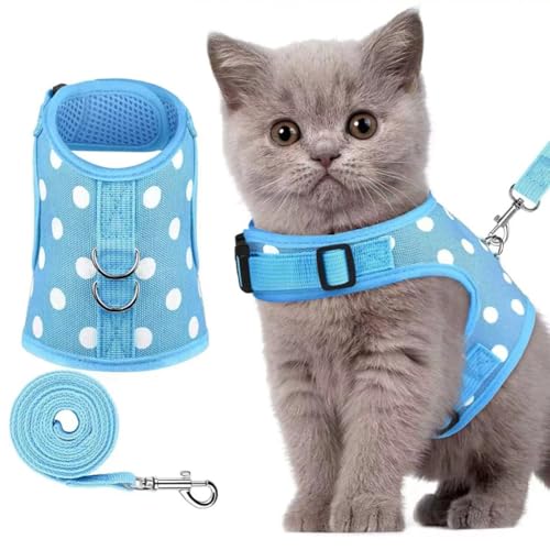 Haustiergeschirr mit Leine, Obstdruck, für Katzen und Hunde, verhindert das Entkommen, verstellbar, für Katzen, Welpen, Spaziergänge, Training, Sicherheitsvorrichtung, Größe XL (blaue Punkte) von MeiAOBest