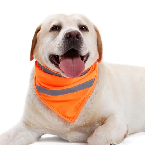 Hunde-Sicherheits-Dreieckschal, reflektierendes Dreieckstuch, Nachtspaziergänge, hohe Sichtbarkeit, leuchtendes Lätzchen, Größe L, Orange von MeiAOBest
