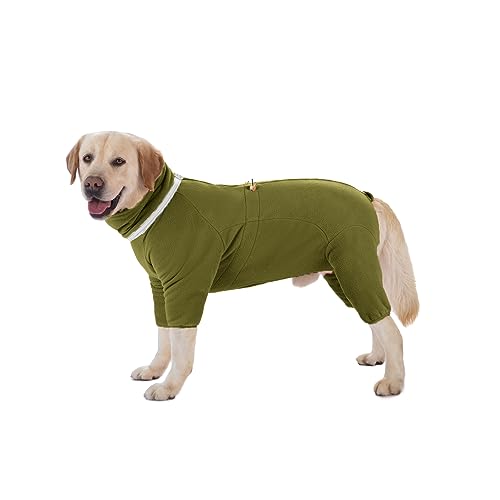 Hundebekleidung, Haustier-Winter-Overall mit Reißverschluss, D-Ring, reflektierende Streifen, verstellbare Anti-Haare, winddichte Jacke für kleine, mittelgroße und große Hunde, Größe 2XL (Olivgrün) Hundebekleidung, Haustier-Winter-Overall mit Reißverschluss, D-Ring, reflektierende Streifen, verstellbare Anti-Haare, winddichte Jacke für kleine, mittelgroße und große Hunde, Größe 2XL (Olivgrün) von MeiAOBest