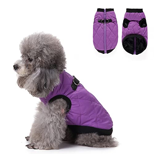 Hundebekleidung mit Geschirr, warme Winterjacke mit Reißverschluss, winddichter Hundemantel, Wintermantel aus Baumwolle für kleine, mittelgroße Hunde, Lila Hundebekleidung mit Geschirr, warme Winterjacke mit Reißverschluss, winddichter Hundemantel, Wintermantel aus Baumwolle für kleine, mittelgroße Hunde, Lila von MeiAOBest
