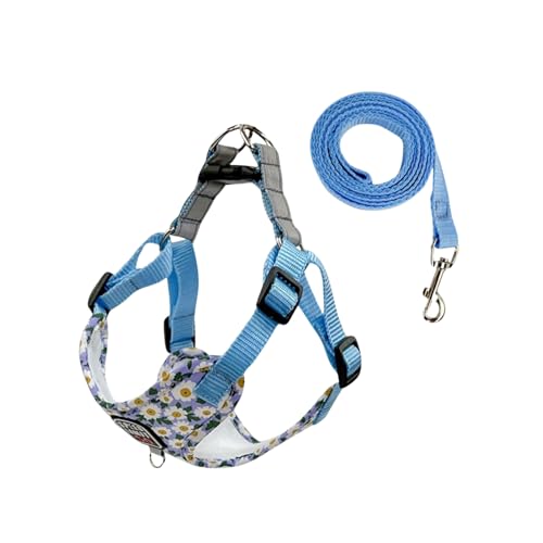 Hundegeschirr gegen Ziehen, verstellbar, Gänseblümchen-Druck, ausbruchsichere Weste, Geschirr, für Hunde, Spaziergänge, Laufen, Training, Geschirr für Katzen, Welpen, kleine, mittelgroße Hunde, Größe Hundegeschirr gegen Ziehen, verstellbar, Gänseblümchen-Druck, ausbruchsichere Weste, Geschirr, für Hunde, Spaziergänge, Laufen, Training, Geschirr für Katzen, Welpen, kleine, mittelgroße Hunde, Größe von MeiAOBest