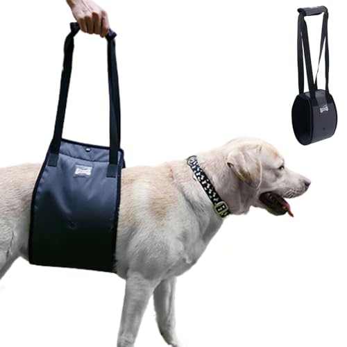 Hundegeschirr zum Anheben des Bauches, tragbares Hebeband für Genesung, Spazierengehen, Training, Zughilfe, Mobilität, mit Griff, für ältere Verletzte, Amputation, behinderte Hunde, Größe M, von MeiAOBest