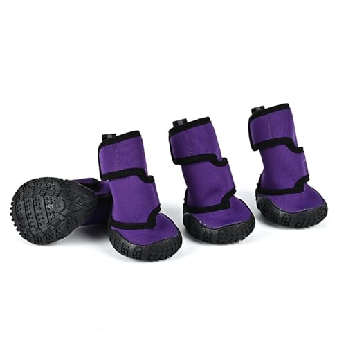 Hundeschuhe, leicht wasserdicht, rutschfest, Leica Obere Hundeschuhe, Haustierpfoten-Schutzhülle, für drinnen und draußen, für Welpen, kleine, mittelgroße und große Hunde, Violett (12# L x B: 9 x 7,7 Hundeschuhe, leicht wasserdicht, rutschfest, Leica Obere Hundeschuhe, Haustierpfoten-Schutzhülle, für drinnen und draußen, für Welpen, kleine, mittelgroße und große Hunde, Violett (12# L x B: 9 x 7,7 von MeiAOBest