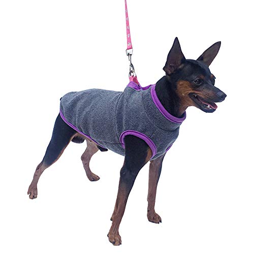 Haustier Kleidung, Hund kaltes Wetter Mantel Warme Hund Jumper Weiche Fleece Weste Jacke Pullover Kostüm für Welpen Kleine Hunde_Grau(L) von MeiAOBest