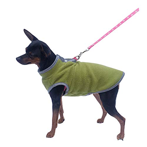 Haustier Kleidung, Hund kaltes Wetter Mantel Warme Hund Jumper Weiche Fleece Weste Jacke Pullover Kostüm für Welpen Kleine Hunde_Grün(XL) von MeiAOBest
