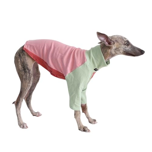 Italienischer Windhund-T-Shirt, dreifarbig, Sweatshirt, Windhunde, Herbst, Winter, Frühling, schmaler Hundepullover, Pyjama, Größe XXL (Rosa) von MeiAOBest