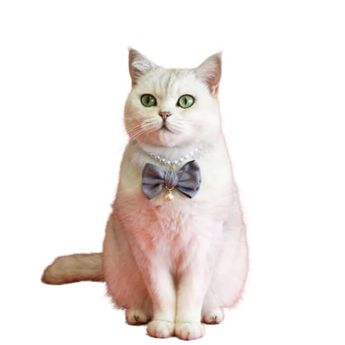 Katzenhalsband mit Samtschleife, künstliche Perlen, verstellbar, für Hochzeit, Geburtstag, Schmuck, Geschenk für Katzen, Welpen, kleine Hunde, Größe M, Grau Katzenhalsband mit Samtschleife, künstliche Perlen, verstellbar, für Hochzeit, Geburtstag, Schmuck, Geschenk für Katzen, Welpen, kleine Hunde, Größe M, Grau von MeiAOBest