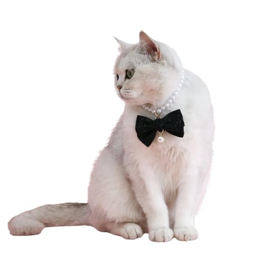 Katzenhalsband mit Samtschleife, künstliche Perlen, verstellbar, für Hochzeit, Geburtstag, Schmuck, Geschenk für Katzen, Welpen, kleine Hunde, Größe M, Schwarz Katzenhalsband mit Samtschleife, künstliche Perlen, verstellbar, für Hochzeit, Geburtstag, Schmuck, Geschenk für Katzen, Welpen, kleine Hunde, Größe M, Schwarz von MeiAOBest
