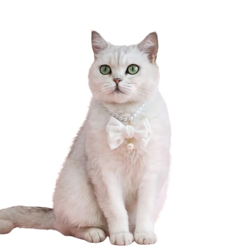 Katzenhalsband mit Samtschleife, künstliche Perlen, verstellbar, für Hochzeit, Geburtstag, Schmuck, Geschenk für Katzen, Welpen, kleine Hunde, Größe M, Weiß Katzenhalsband mit Samtschleife, künstliche Perlen, verstellbar, für Hochzeit, Geburtstag, Schmuck, Geschenk für Katzen, Welpen, kleine Hunde, Größe M, Weiß von MeiAOBest