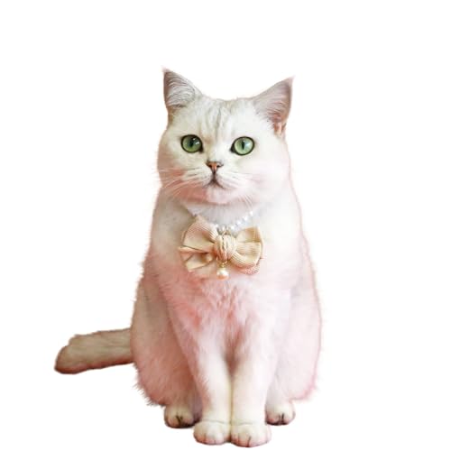 Katzenhalsband mit Samtschleife, künstliche Perlen, verstellbar, für Hochzeit, Geburtstag, Schmuck, Geschenk für Katzen, Welpen, kleine Hunde, Größe S (Beige) von MeiAOBest
