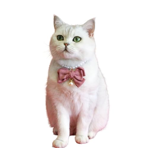 Katzenhalsband mit Samtschleife, künstliche Perlen, verstellbar, für Hochzeit, Geburtstag, Schmuck, Geschenk für Katzen, Welpen, kleine Hunde, Größe XS (Dunkelrosa) von MeiAOBest