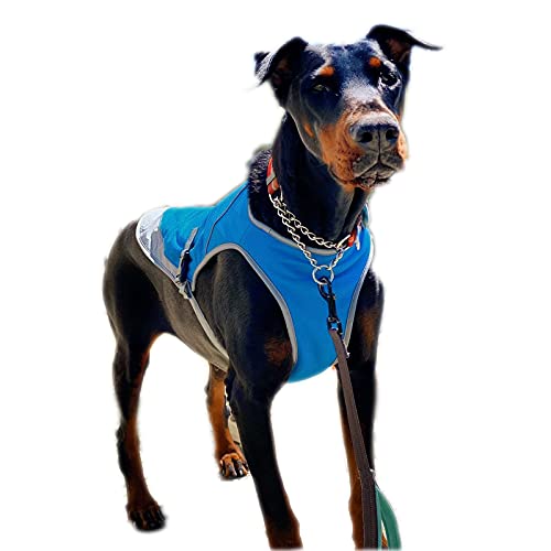 Kühlendes buntes Hundegeschirr für den Sommer, Angstlinderung, atmungsaktive Kleidung, Outdoor, Kühljacke, verstellbar, Training, Wandern, Hanress für kleine, mittelgroße Hunde, Französische von MeiAOBest