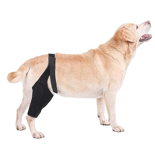 MeiAOBest Hunde-Ellenbogen-Bandage, Protektor-Pads für Hunde, Ellenbogen- und Schulterstütze, Ellenbogenhygrom, Dysplasie, Arthrose, Ellenbogenschwielen, Druckstellen und Schulterluxation_L MeiAOBest Hunde-Ellenbogen-Bandage, Protektor-Pads für Hunde, Ellenbogen- und Schulterstütze, Ellenbogenhygrom, Dysplasie, Arthrose, Ellenbogenschwielen, Druckstellen und Schulterluxation_L von MeiAOBest