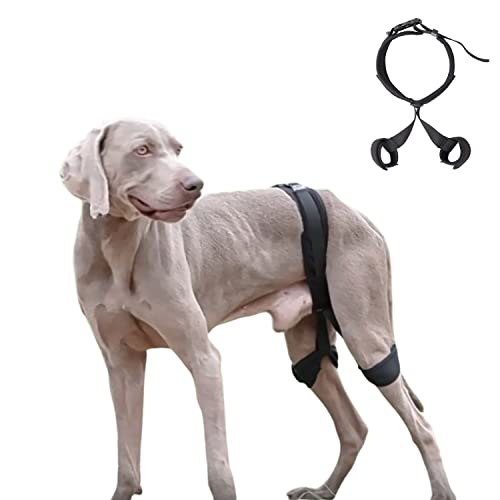 MeiAOBest Hunde-Hinterbein-Knie-Hilfsgürtel, Haustier-Hüftgelenk-Bandage, Erholungsgürtel, geeignet für Hunde, Kreuzbandverletzungen, Gelenkschmerzen und Muskelkater MeiAOBest Hunde-Hinterbein-Knie-Hilfsgürtel, Haustier-Hüftgelenk-Bandage, Erholungsgürtel, geeignet für Hunde, Kreuzbandverletzungen, Gelenkschmerzen und Muskelkater von MeiAOBest