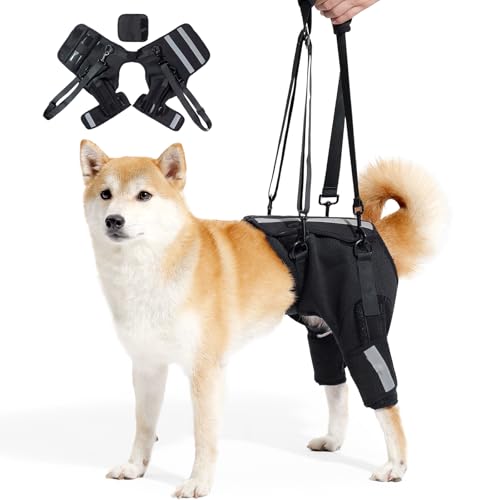 MeiAOBest Hundegeschirr zum Anheben der Hinterbeine, verstellbare Wirbelsäule, Hüftbandage mit reflektierenden, Haustier-Hinterbeinen, nach Operationen, zur Erholung von Spaziergängen, Training und MeiAOBest Hundegeschirr zum Anheben der Hinterbeine, verstellbare Wirbelsäule, Hüftbandage mit reflektierenden, Haustier-Hinterbeinen, nach Operationen, zur Erholung von Spaziergängen, Training und von MeiAOBest