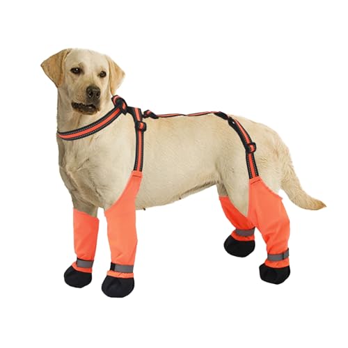 MeiAOBest Hundestiefel mit verstellbaren Riemen, reflektierend, wasserdicht, rutschfest, Pfotenschutz für Hunde, gegen Herunterfallen und Schmutz, für Spaziergänge MeiAOBest Hundestiefel mit verstellbaren Riemen, reflektierend, wasserdicht, rutschfest, Pfotenschutz für Hunde, gegen Herunterfallen und Schmutz, für Spaziergänge von MeiAOBest