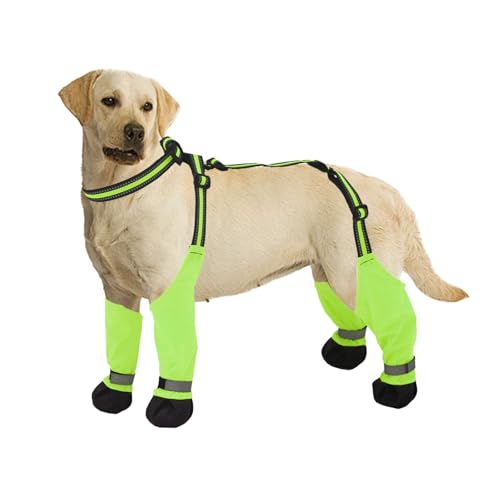 MeiAOBest Verstellbare Hosenträger für Hunde, Regenstiefel, reflektierend, wasserdicht, rutschfest, Pfotenschutz, schmutzabweisend, für Outdoor-Spaziergänge, Laufen, Wandern, Größe M, Grün MeiAOBest Verstellbare Hosenträger für Hunde, Regenstiefel, reflektierend, wasserdicht, rutschfest, Pfotenschutz, schmutzabweisend, für Outdoor-Spaziergänge, Laufen, Wandern, Größe M, Grün von MeiAOBest