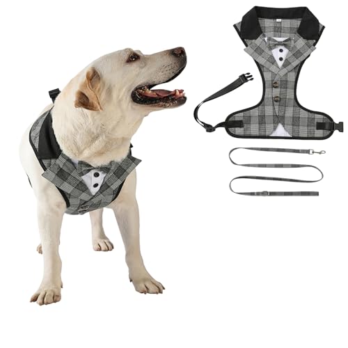 Smokinggeschirr mit Leine, Frack mit Schleife, Haustier, Hochzeitsweste, Kostüm für Katzen, Welpen, kleine, mittelgroße und große Hunde, Größe XL, Grau Smokinggeschirr mit Leine, Frack mit Schleife, Haustier, Hochzeitsweste, Kostüm für Katzen, Welpen, kleine, mittelgroße und große Hunde, Größe XL, Grau von MeiAOBest