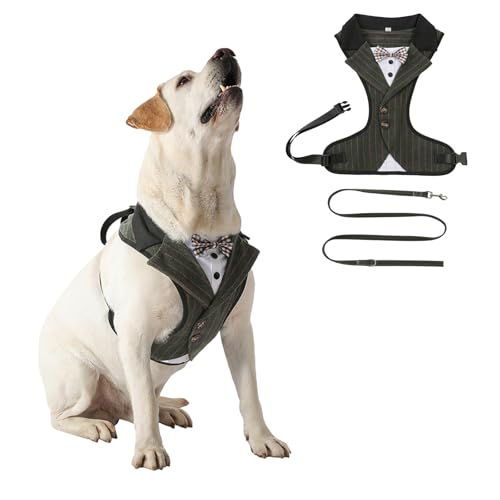 Smokinggeschirr mit Leine, Frack und Schleife, für Haustiere, Hochzeitsweste, Kostüm für Katzen, Welpen, kleine, mittelgroße und große Hunde, Größe XXL, Grün gestreift Smokinggeschirr mit Leine, Frack und Schleife, für Haustiere, Hochzeitsweste, Kostüm für Katzen, Welpen, kleine, mittelgroße und große Hunde, Größe XXL, Grün gestreift von MeiAOBest