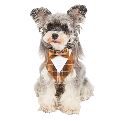 Smokinghalstuch, formelles Hundehalstuch, Halsband mit Schleife, verstellbar, für Geburtstagsparty, Kostüm, Gitter, Liebes-Lätzchen, Schal für Katzen, Welpen, kleine, mittelgroße Hunde, Größe XS Smokinghalstuch, formelles Hundehalstuch, Halsband mit Schleife, verstellbar, für Geburtstagsparty, Kostüm, Gitter, Liebes-Lätzchen, Schal für Katzen, Welpen, kleine, mittelgroße Hunde, Größe XS von MeiAOBest