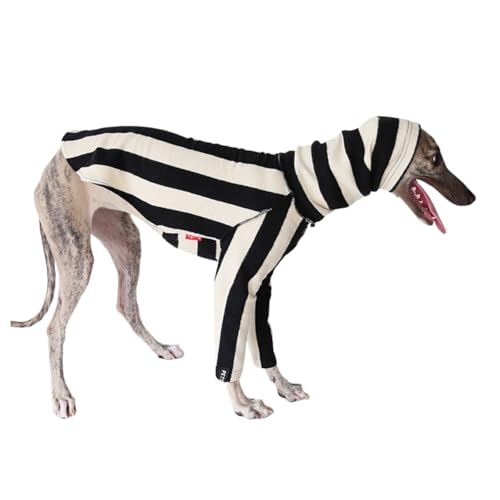 Strickpullover für italienische Windhunde, Whippet, schwarz-weiß gestreift, Rollkragen-Sweatshirt, Windhunde, Herbst, Winter, Frühling, schmaler Hundepullover, Pyjama, Größe XL Strickpullover für italienische Windhunde, Whippet, schwarz-weiß gestreift, Rollkragen-Sweatshirt, Windhunde, Herbst, Winter, Frühling, schmaler Hundepullover, Pyjama, Größe XL von MeiAOBest