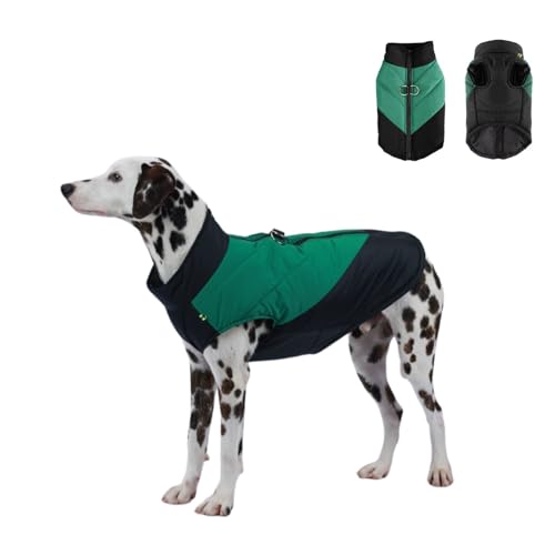 Warmer Wintermantel für Hunde mit D-Ring, leicht wasserdicht, Farbblockierung, Hundekleidung für kleine, mittelgroße und große Hunde, Größe 5XL, Schwarz und Grün Warmer Wintermantel für Hunde mit D-Ring, leicht wasserdicht, Farbblockierung, Hundekleidung für kleine, mittelgroße und große Hunde, Größe 5XL, Schwarz und Grün von MeiAOBest
