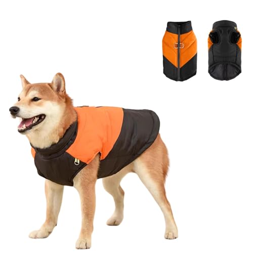 Warmer Wintermantel für Hunde mit D-Ring, leicht wasserdicht, Farbblockierung, Hundekleidung für kleine, mittelgroße und große Hunde, Größe XL, Schwarz und Orange Warmer Wintermantel für Hunde mit D-Ring, leicht wasserdicht, Farbblockierung, Hundekleidung für kleine, mittelgroße und große Hunde, Größe XL, Schwarz und Orange von MeiAOBest