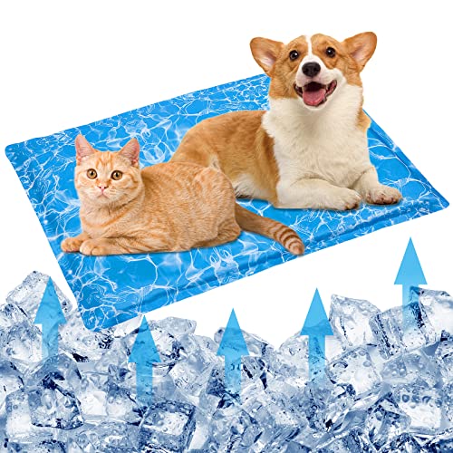 Kühlmatte für Hunde, Wassereinspritzung, Haustier-Kühlmatte, Haustier-Kühlkissen, Sommer, langlebig, kühlend, für Hundehütten/Autositz/Haustierbett (53,3 x 71,1 cm) von MeiLiMiYu