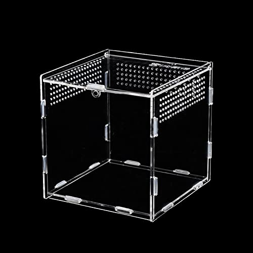 Reptile Fütterungsbox, Tragbares Reptil Fütterungsbox Insect Feeding Box Transparent Reptil Zuchtfall Mit Luftlöcher für Spide, Eidechse, Skorpion, Tausendfüßler, Gehörnter Frosch 9x9x9.5cm von Mein HERZ