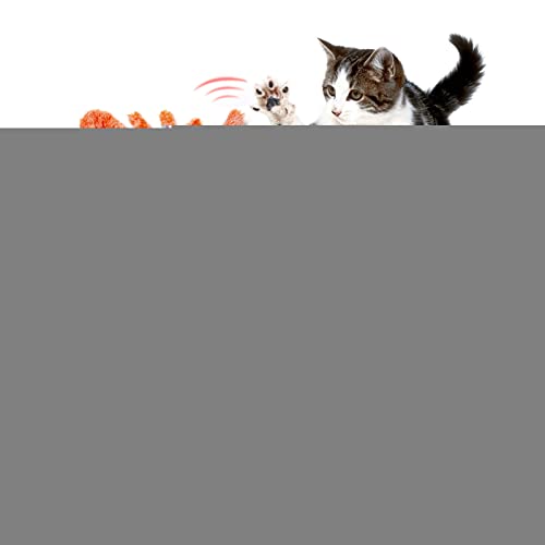 Meindin Interaktive Beweglicher Hummer Spielzeug für Katzen, Zappelnd Flopping Hummer Katzenspielzeug, USB Aufladbar, Waschbar, Touch Aktiviert Plüsch Katze Übung Spielzeug, Haustier Kauspielzeug von Meindin