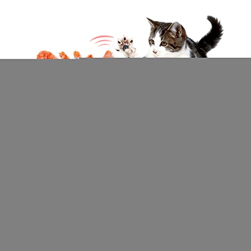 Meindin Interaktive Beweglicher Hummer Spielzeug für Katzen, Zappelnd Flopping Hummer Katzenspielzeug, USB Aufladbar, Waschbar, Touch Aktiviert Plüsch Katze Übung Spielzeug, Haustier Kauspielzeug Meindin Interaktive Beweglicher Hummer Spielzeug für Katzen, Zappelnd Flopping Hummer Katzenspielzeug, USB Aufladbar, Waschbar, Touch Aktiviert Plüsch Katze Übung Spielzeug, Haustier Kauspielzeug von Meindin