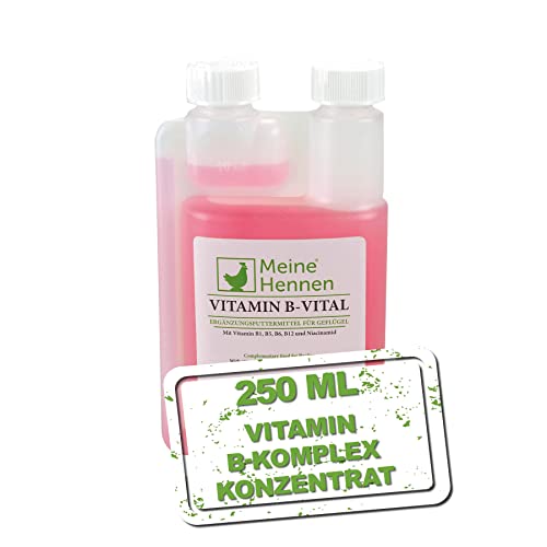 Meine Hennen Vitamin B Vital 250 ml, Vitamin B Komplex Ergänzungsfuttermittel für Hühner, Tauben und Wachteln. Für Ihr Geflügel zur Unterstützung eines normalen Nervensystems und Stoffwechsels. von Meine Hennen