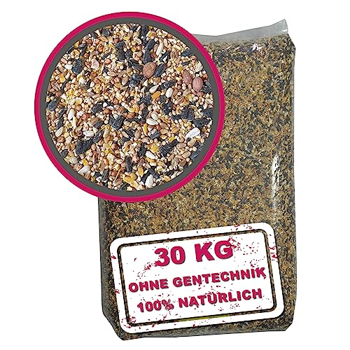WILDVOGEL-VITAL 30 kg Premium Ganzjahresfutter für Wildvögel und Gartenvögel mit Erdnüssen und französischen Sonnenblumenkernen. OHNE GENTECHNIK! von Meine Hennen