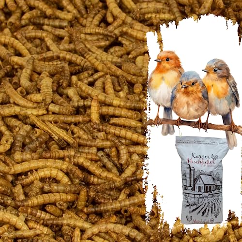 Karner Premium Mehlwürmer getrocknet für Vögel, Fische, Schildkröten, Nager und Reptilien (10,75 Liter) von Meinhof, Geflügelzubehör und Futtermittel