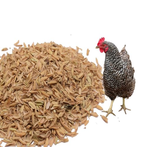 Mejale Reisspelzen Gartenbauqualität 60L, Bio-Reisschalen für Pflanzen, Gartenbau, Geflügel, Gewächshäuser | BGesunde Einstreu für Wachteln, Hühner, Hamster | Reisschalen natürlicher Pflanzendünger Mejale Reisspelzen Gartenbauqualität 60L, Bio-Reisschalen für Pflanzen, Gartenbau, Geflügel, Gewächshäuser | BGesunde Einstreu für Wachteln, Hühner, Hamster | Reisschalen natürlicher Pflanzendünger von Mejale