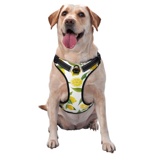 Lemon No-Pull-Hundegeschirr für große Hunde, No-Pull-Hundeleine, verstellbares großes Hundegeschirr, reflektierendes Hundewestengeschirr, Easy-Walk-Hundegeschirr für mittelgroße Hunde, No-Pull-Hausti Lemon No-Pull-Hundegeschirr für große Hunde, No-Pull-Hundeleine, verstellbares großes Hundegeschirr, reflektierendes Hundewestengeschirr, Easy-Walk-Hundegeschirr für mittelgroße Hunde, No-Pull-Hausti von Melbrakin
