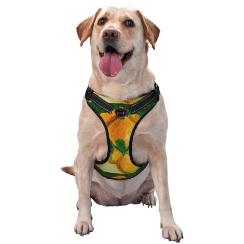 Lemon No-Pull-Hundegeschirr für große Hunde, No-Pull-Hundeleine, verstellbares großes Hundegeschirr, reflektierendes Hundewestengeschirr, Easy-Walk-Hundegeschirr für mittelgroße Hunde, No-Pull-Hausti Lemon No-Pull-Hundegeschirr für große Hunde, No-Pull-Hundeleine, verstellbares großes Hundegeschirr, reflektierendes Hundewestengeschirr, Easy-Walk-Hundegeschirr für mittelgroße Hunde, No-Pull-Hausti von Melbrakin