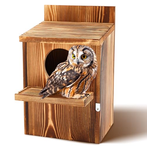Memorywuu Vogelhaus aus Holz, Eule, Vogelhaus, großes karbonisiertes lackiertes Holz, großes Vogelhaus für den Außenbereich, rechteckige Öffnung, Nistkasten mit Befestigungsschrauben und Handbuch (mit von Memorywuu