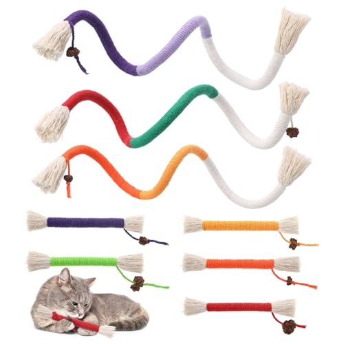 8 Stück Katzen-Kaustäbchen, natürliches Katzenkauspielzeug, lustiges Silvervine Katzenkaustab, Beißseil für Indoor-Katzen, Kätzchen, Kauspielzeug, Seil, natürliche Katzenzähne, Reinigung der Zähne und 8 Stück Katzen-Kaustäbchen, natürliches Katzenkauspielzeug, lustiges Silvervine Katzenkaustab, Beißseil für Indoor-Katzen, Kätzchen, Kauspielzeug, Seil, natürliche Katzenzähne, Reinigung der Zähne und von Meng Jiaran