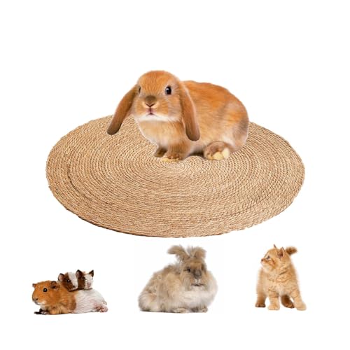Meow&Woof Runde Grasmatte für Kaninchen, Kleintier-Kühlmatte, Käfig-Sommer-Kühlkissen für Kaninchen, Meerschweinchen, Chinchillas, Frettchen, 35,6 cm, 2 Stück Meow&Woof Runde Grasmatte für Kaninchen, Kleintier-Kühlmatte, Käfig-Sommer-Kühlkissen für Kaninchen, Meerschweinchen, Chinchillas, Frettchen, 35,6 cm, 2 Stück von Meow&Woof