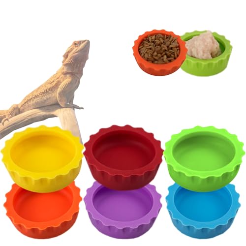 Meow&Woof Futter- und Wassernapf mit Haube, Gecko, Reptilien-Futterschale, bunter Wassernapf für Bartagamen, Terrarium, Zubehör für Schildkröten, Krabben und kleine Haustiere (6 Stück) Meow&Woof Futter- und Wassernapf mit Haube, Gecko, Reptilien-Futterschale, bunter Wassernapf für Bartagamen, Terrarium, Zubehör für Schildkröten, Krabben und kleine Haustiere (6 Stück) von Meow&Woof