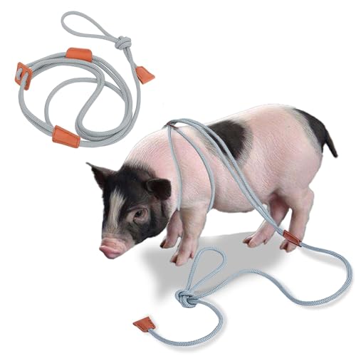 Mini Pig verstellbares Geschirr und Leine, Grau von Meow&Woof