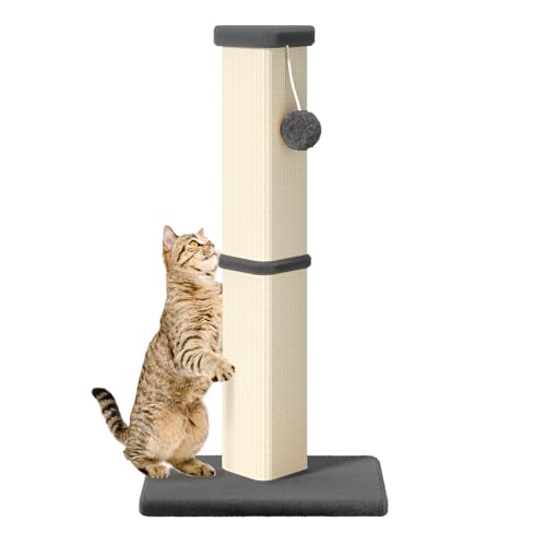 Katzenkratzbaum, 32 Zoll hoch Kratzbaum für Innen mit 5 Zoll Durchmesser Pfosten und Ball Katzenkratzer für mittlere und große Katzen von MeowHomm