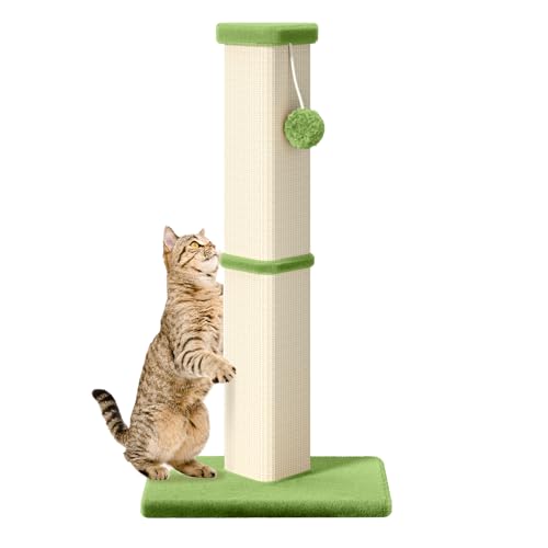 Katzenkratzbaum, 32 Zoll hoch Kratzbaum für Innen mit 5 Zoll Durchmesser Pfosten und Ball Katzenkratzer für mittlere und große Katzen von MeowHomm