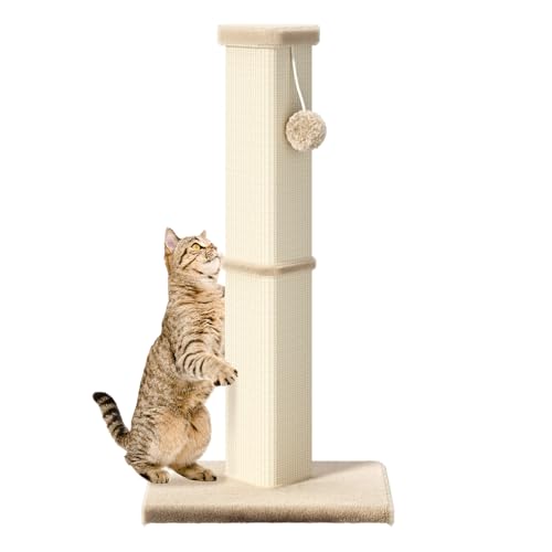 Katzenkratzbaum, 32 Zoll hoch Kratzbaum für Innen mit 5 Zoll Durchmesser Pfosten und Ball Katzenkratzer für mittlere und große Katzen von MeowHomm