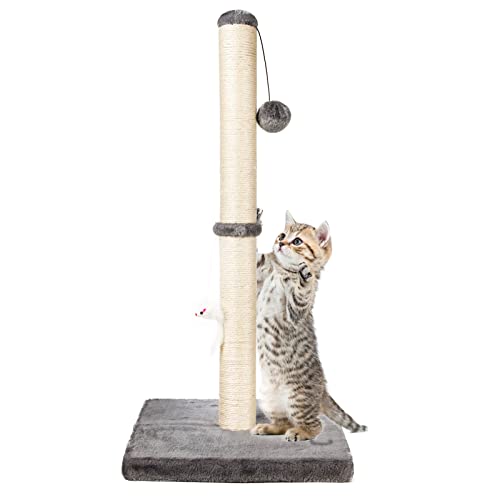 Kratzbaum für Katzen, 81,3 cm hoch, mit hängendem Ball, langlebig, mit Sisalseil (grau) von MeowHomm